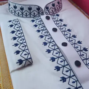 PANJABI70