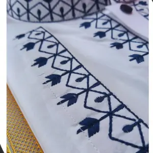 Embroidery Panjabi